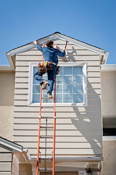 Best Siding Removal and Disposal  in Topaz Ranch Estates, NV